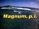 Magnum, p.i.